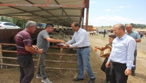 Zara'da hayvan pazarı açıldı