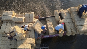 Adadaki saman balyalarını Beyşehir Gölü'nden "duba" aracılığıyla karşı kıyıya taşıyorlar