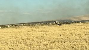Anız yangınlarının önlenmesi için bitki atıklarının biyogaz tesislerinde değerlendirilmesi önerildi