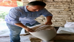 Ata tohumlarının peşinde köy köy geziyorlar