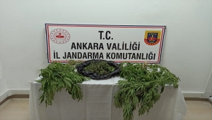 Başkentte jandarma ekiplerince düzenlenen uyuşturucu operasyonlarında 2 kişi yakalandı