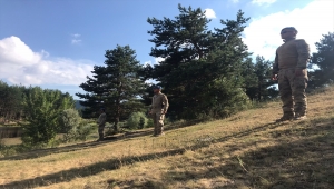 Başkentte ormanlar jandarmaya emanet 