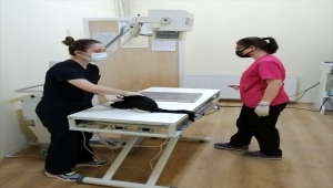 Belediye Başkanı Solak'ın yaralı haldeyken tedavi ettirdiği kediyi Almanya'da bir aile sahiplendi