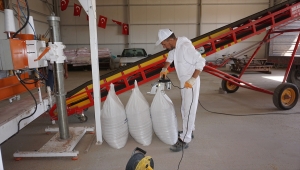 Beypazarı'nda "tohum eleme tesisi" hizmete girdi 