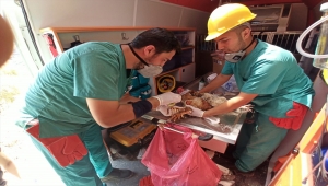 "Canbulan" Manavgat'tan sonra Muğla'ya da gitti