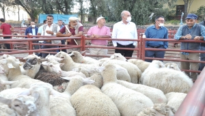 Emirgazi'den Manavgat'taki hayvan yetiştiricilerine anlamlı yardım