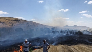 Güdül'de çıkan anız yangını söndürüldü 