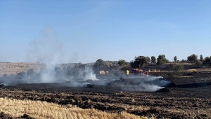 Güdül'de otluk ve makilik alanda çıkan yangın söndürüldü 