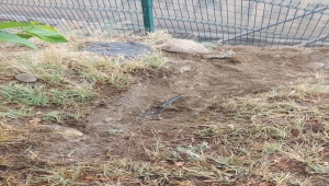 Kayseri'de üniversite kampüsünde kablo çalmak isteyen zanlılar suçüstü yakalandı