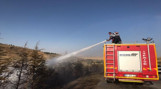 Konya'da çıkan orman yangını kısa sürede kontrol altına alındı
