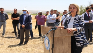 Nevşehir'de "Tarla Günü" etkinliği düzenlendi