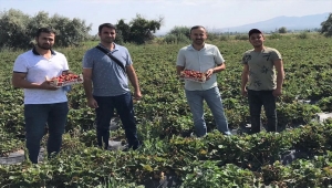 Nevşehir'den kısa kısa