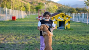 "Patiyol" Kayserili hayvanseverlerden ilgi görüyor 