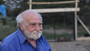 Sinop'taki selden etkilenen 19 "can" Ankara'da yeni yuvasına kavuştu