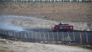Yangının ortasında kalan kaplumbağayı polisler kurtardı