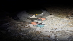 Beyşehir'de bıldırcın avında kullanılan ses cihazları ele geçirildi