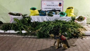 Beyşehir'de uyuşturucu operasyonu