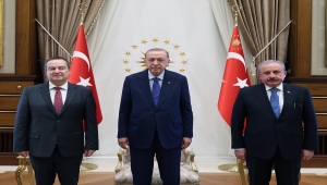 Cumhurbaşkanı Erdoğan, Sırbistan Ulusal Meclis Başkanı Daçiç'i kabul etti