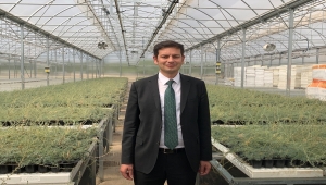 Erozyonla mücadelenin "marifetli bitkisi" küçükbaş hayvanların da besini oldu