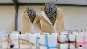 Eskişehir'in en küçük ilçesi Han'da kadınlar lavantadan kazanıyor