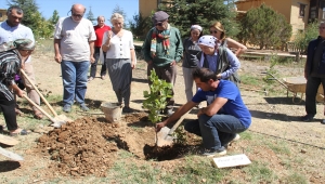 Ferhan Şensoy'un adı Büyük Ustalar Çınarlığı'nda yeşerecek