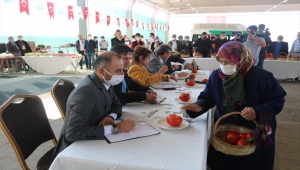 Gölbaşı'nda Elma ve Domates Yetiştiriciliği Yarışması düzenlendi