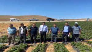 Hüyük'te Orköy projeleri yerinde incelendi