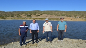 Hüyük'ün göletlerine yavru sazan balığı takviyesi