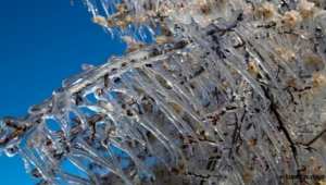 Kayseri dahil 5 il için zirai don uyarısı yapıldı