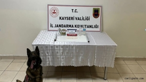 Kayseri'de 1077 adet uyuşturucu hap ele geçirildi