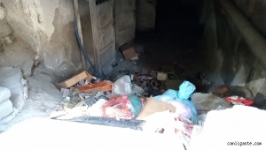 Kayseri'nin Gülük Mahallesinde sokaklar pislikten geçilmiyor