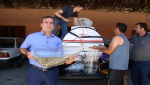 Konya'da göl ve göletlere balık takviyesi