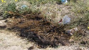 Konya'da yakıldığı iddia edilen köpeğin aracın çarpması sonucu öldüğü ortaya çıktı