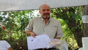 Kültepe'de 4 bin yıl öncesine ait aslan çene kemiği bulundu