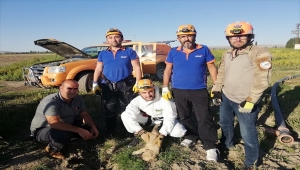 Niğde'de kuyuya düşen yavru köpeği AFAD kurtardı