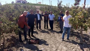 Ortaca ilçesi muhtarlarından Beypazarı'na ziyaret