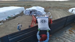 Ulaş'ta yem bitkisi tritikale tohumunun dağıtımına başlandı