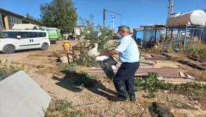 Yaralı halde bulunan leylek tedaviye alındı