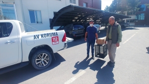 Yaralı mısır akbabası tedavi altına alındı