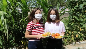 Yozgat'ta öğrenciler, okul bahçesinde sebze yetiştirdi