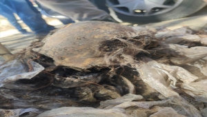 Ankara'da 9 yıldır kayıp olan iki kardeşin öldürülmesinin ayrıntıları ortaya çıktı 