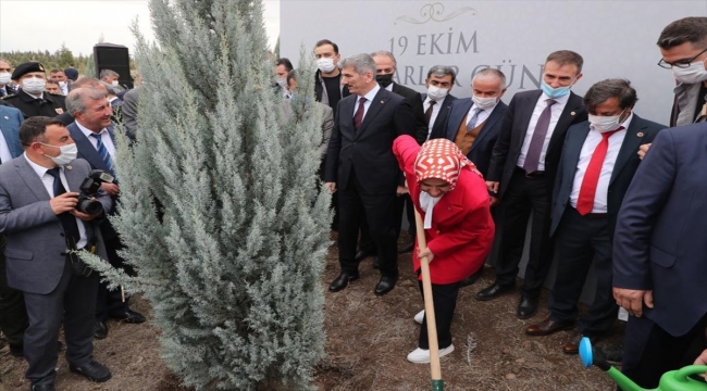 Ankara'da Muhtarlar Günü'ne özel hatıra ormanı oluşturuldu