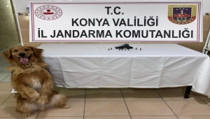 Beyşehir'de jandarmanın yol kontrolünde sürücü koltuğunun altından ruhsatsız tabanca ele geçirildi