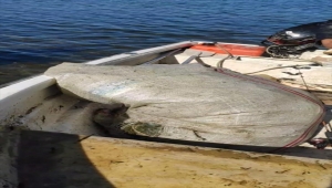 Beyşehir Gölü'nde yasak olan ada açıklarında ağ atan avcıya 21 bin lira ceza uygulandı