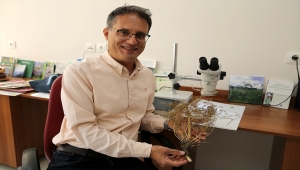 Bilim insanlarının ısrarlı araştırması endemik bitkiyi herbaryuma kazandırdı