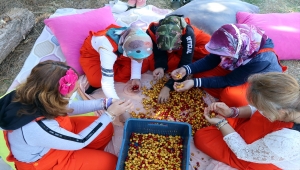 Çankırı'daki rehabilitasyon merkezi sakinleri atıl arazileri ekonomiye kazandırıyor