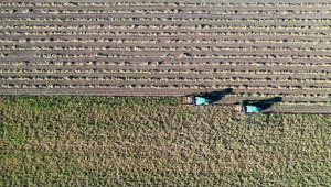 Fasulye üreticisi işgücü ve maliyet engelini teknolojiyle aşıyor