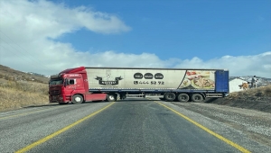 Kara yolunda büyükbaş hayvan bindirilen tır ulaşımı aksattı