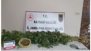 Kayseri'de 4 hint keneviri ve hassas terazi ile yakalandı