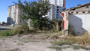 Kayseri'de ölen köpeğin gömüldüğü çukur cinayet şüphesiyle açıldı